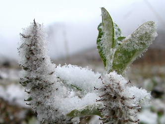 Similar image 2969920