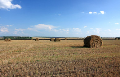 Similar image 2969956