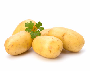 Similar image 2969961