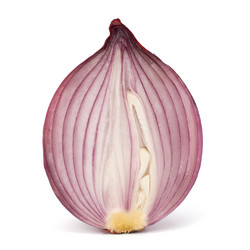 Similar image 2969969