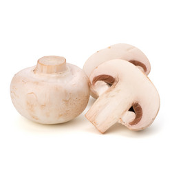 Similar image 2970013