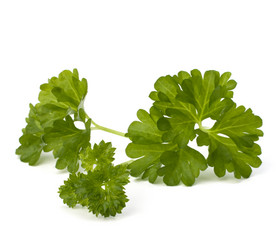 Similar image 2970043