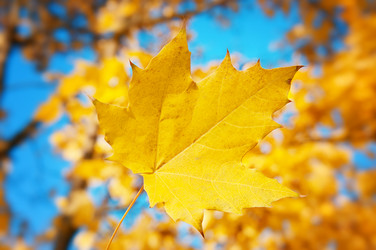 Similar image 2970066