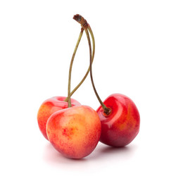 Similar image 2970075