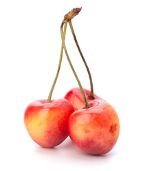 Similar image 2970149