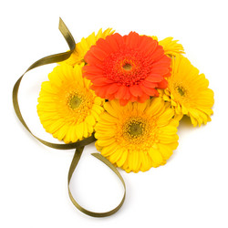 Similar image 2970206