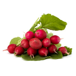 Similar image 2970210