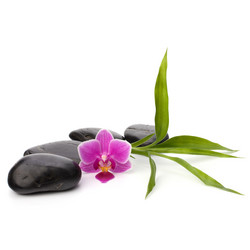 Similar image 2970212