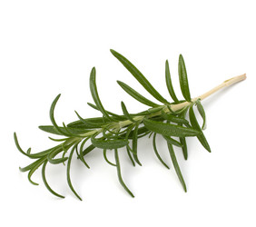 Similar image 2970238