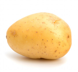 Similar image 2970239