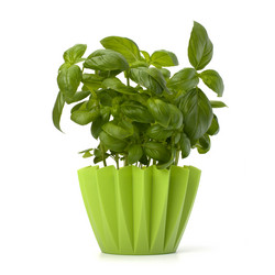 Similar image 2970247