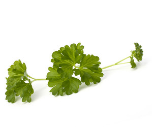 Similar image 2970316