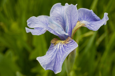 Similar image 2970318