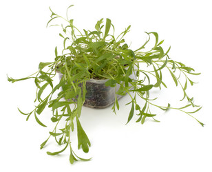 Similar image 2970325