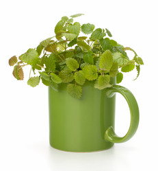 Similar image 2970334