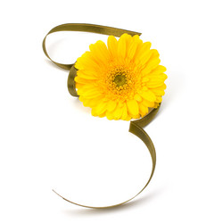 Similar image 2970348