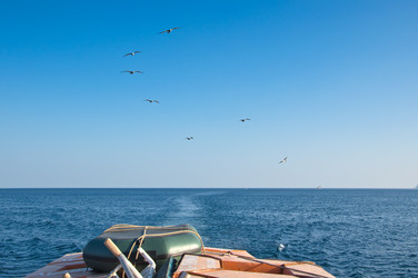 Similar image 2970376