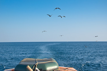 Similar image 2970377