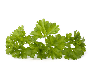 Similar image 2970385