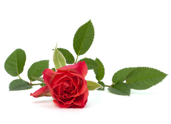 Similar image 2970397