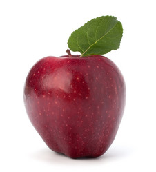 Similar image 2970402