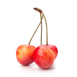 Similar image 2970411