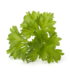 Similar image 2970440