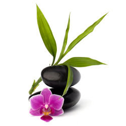 Similar image 2970460