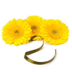 Similar image 2970501