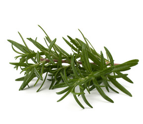 Similar image 2970520