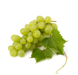 Similar image 2970536