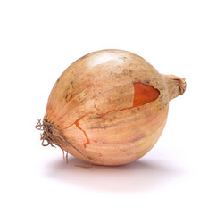 Similar image 2970571