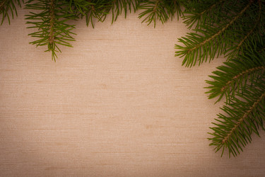 Similar image 2970577