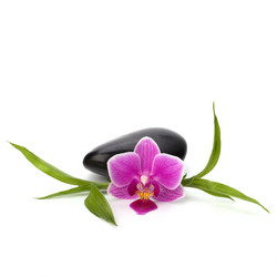 Similar image 2970712