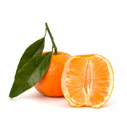 Similar image 2970761