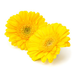 Similar image 2970779