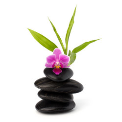 Similar image 2970785