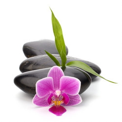 Similar image 2970804