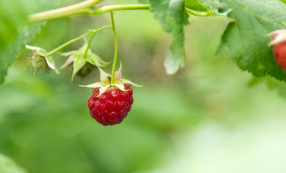 Similar image 2970898