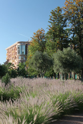 Similar image 2970919