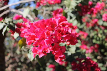 Similar image 2970920