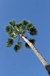 Similar image 2970921