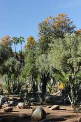 Similar image 2970922