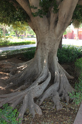 Similar image 2970923