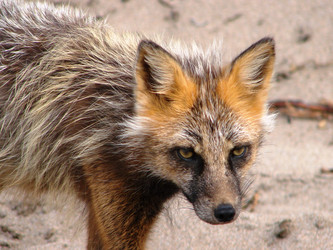 Similar image 2970929