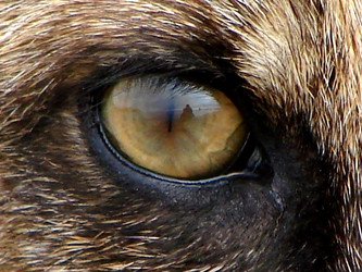 Similar image 2970930