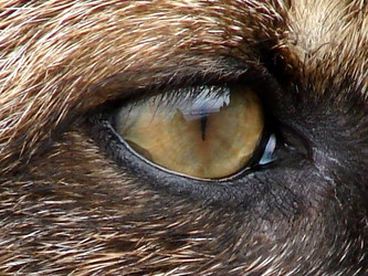 Similar image 2970931