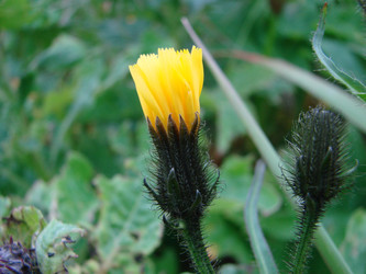 Similar image 2970933