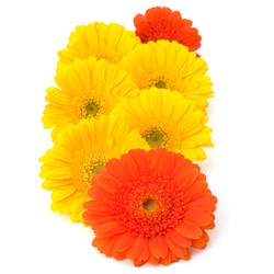 Similar image 2970950