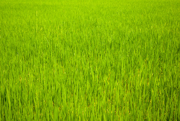 Similar image 2970956